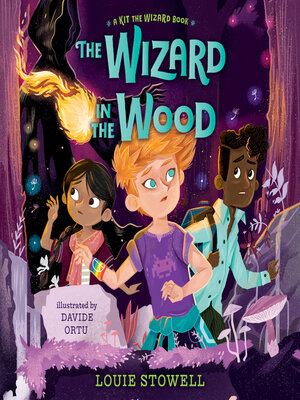 cover image of The Wizard in the Wood